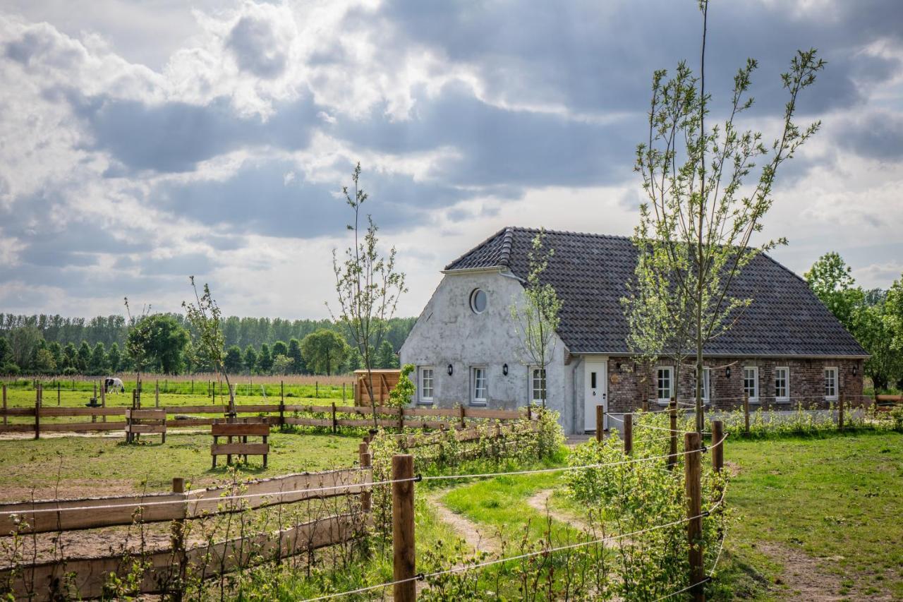 B&B Hoeve Klein Haneveld Sint-Oedenrode Bagian luar foto
