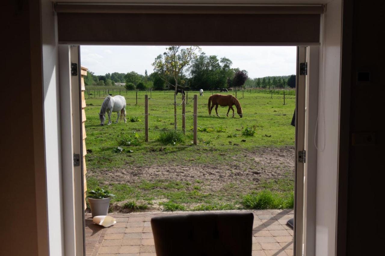 B&B Hoeve Klein Haneveld Sint-Oedenrode Bagian luar foto